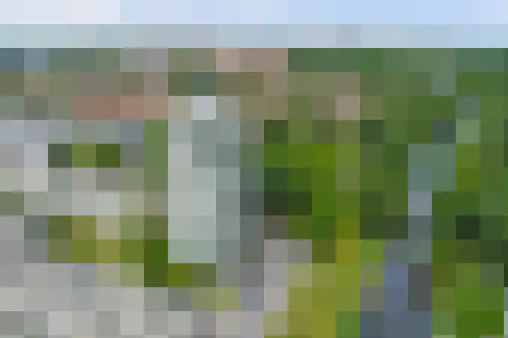 Bloemgracht 200 Zaandam thumbnail 38