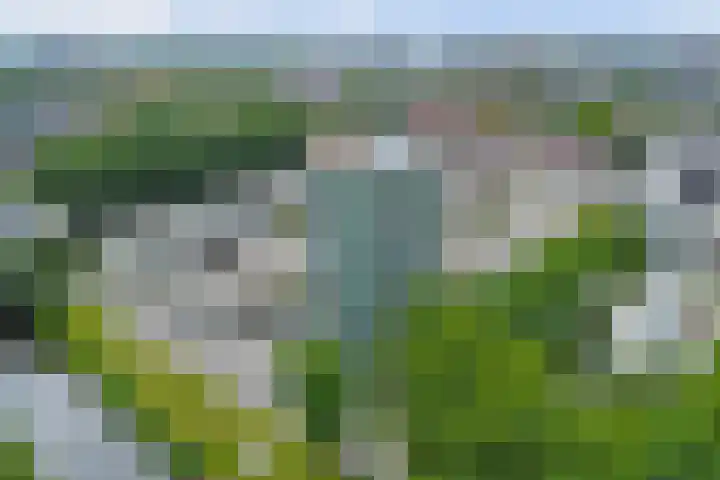 Bloemgracht 200 Zaandam thumbnail 39