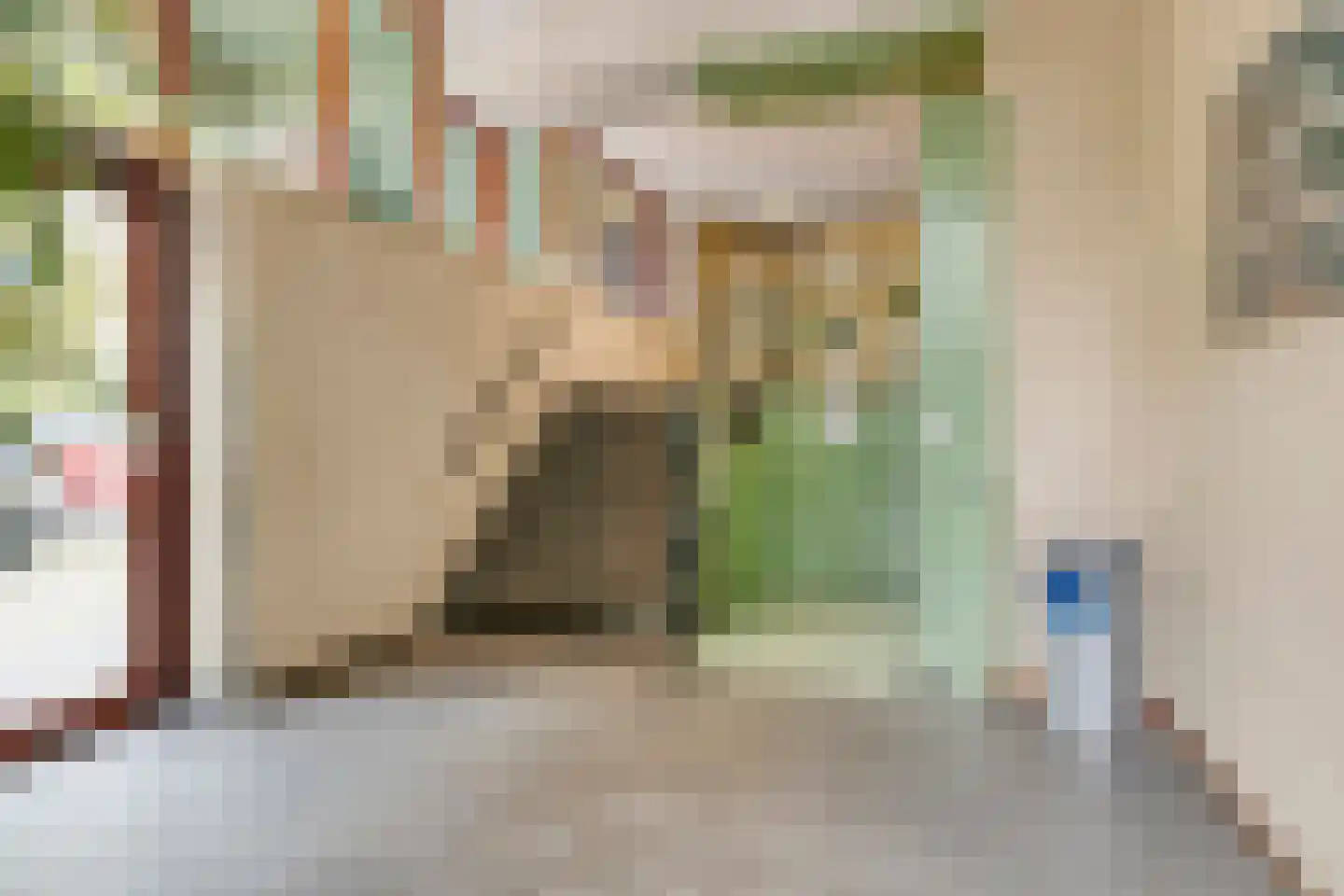 Bloemgracht 222 Zaandam thumbnail 7
