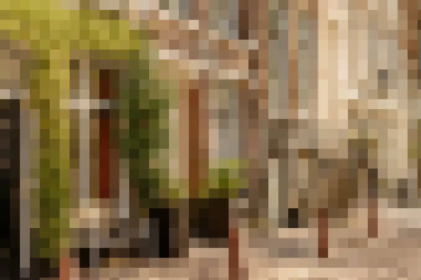 Bloemgracht 24 D Amsterdam thumbnail 31