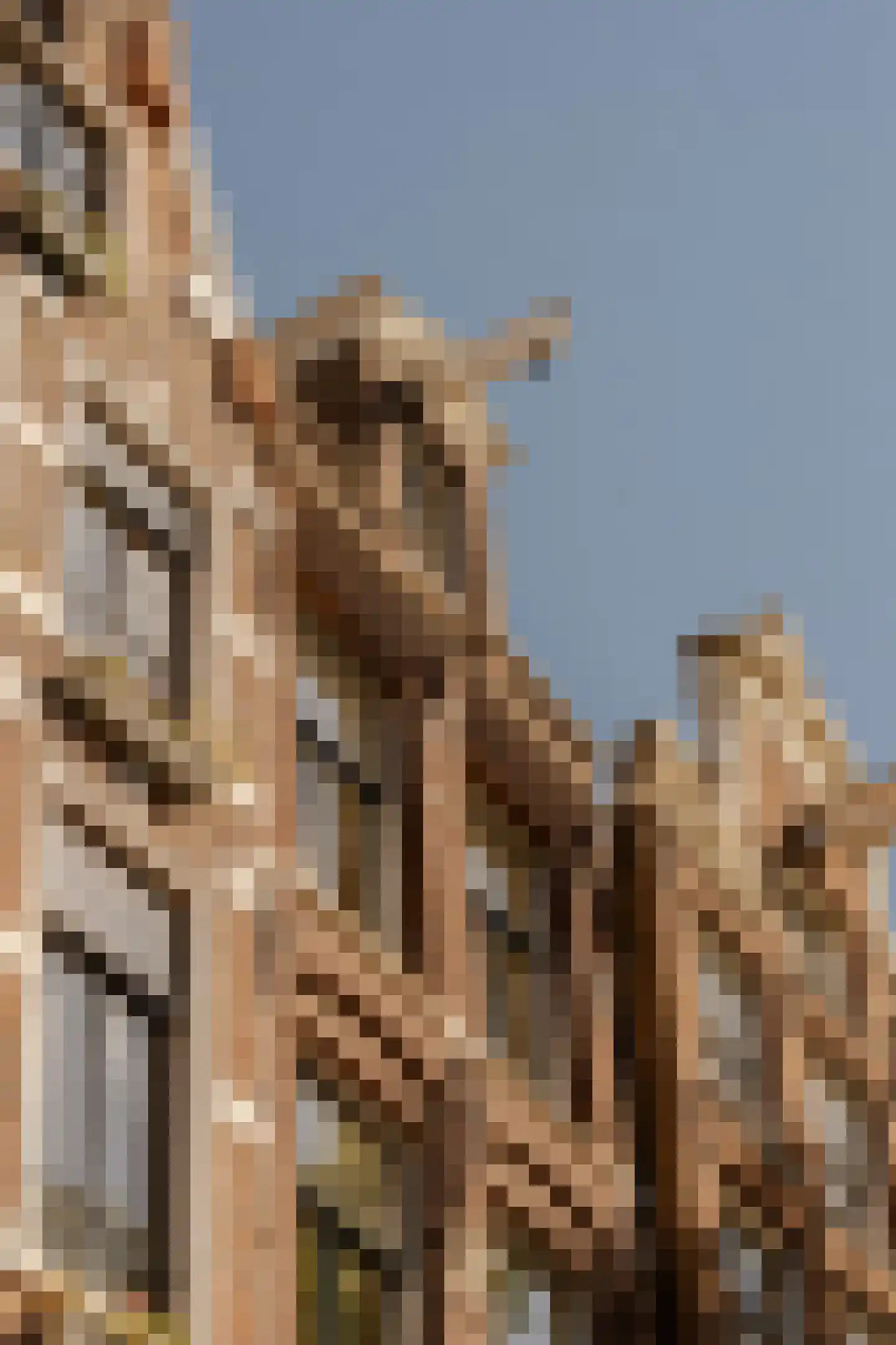 Bloemgracht 24 D Amsterdam thumbnail 35