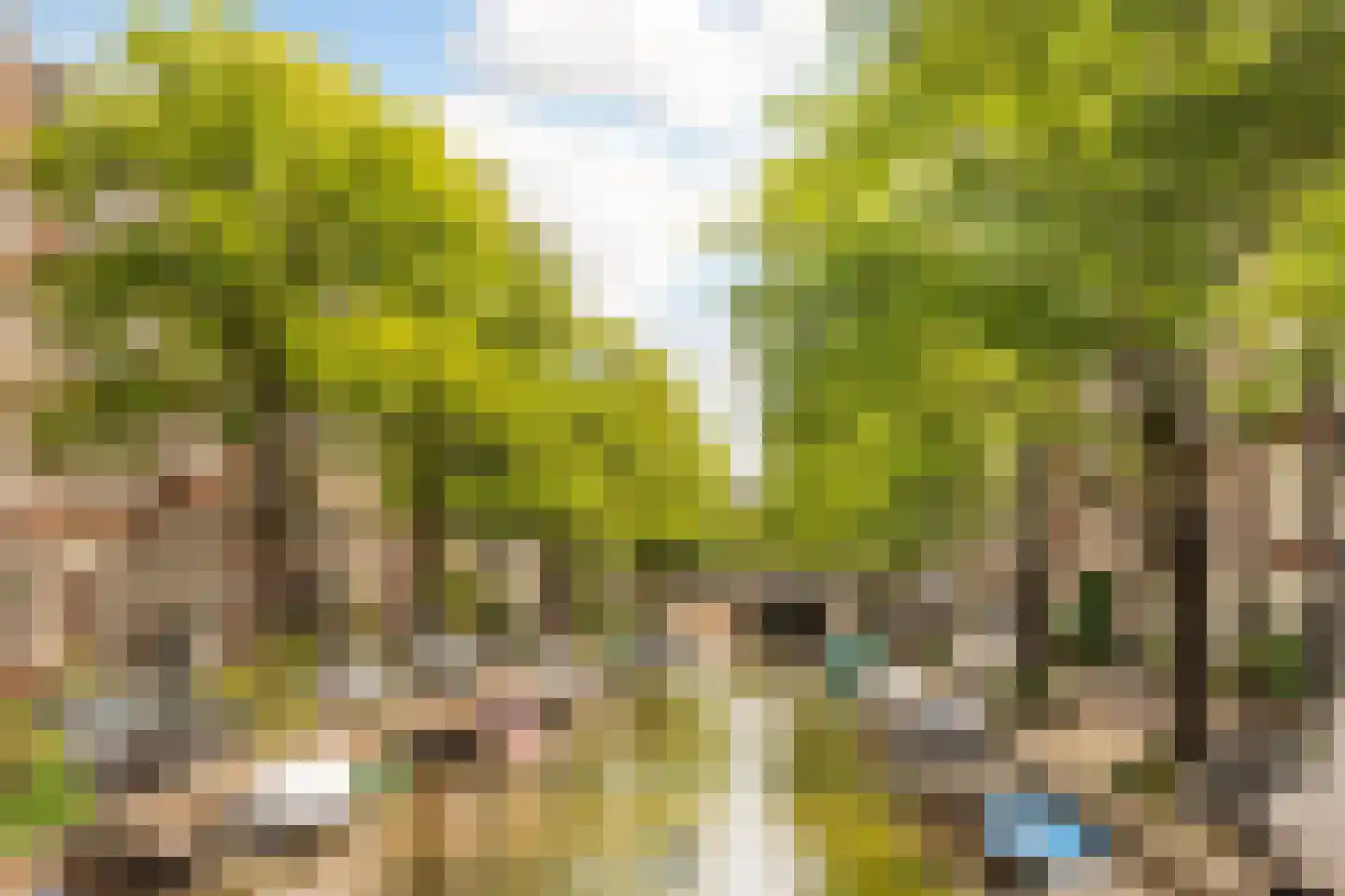 Bloemgracht 300 Amsterdam thumbnail 53