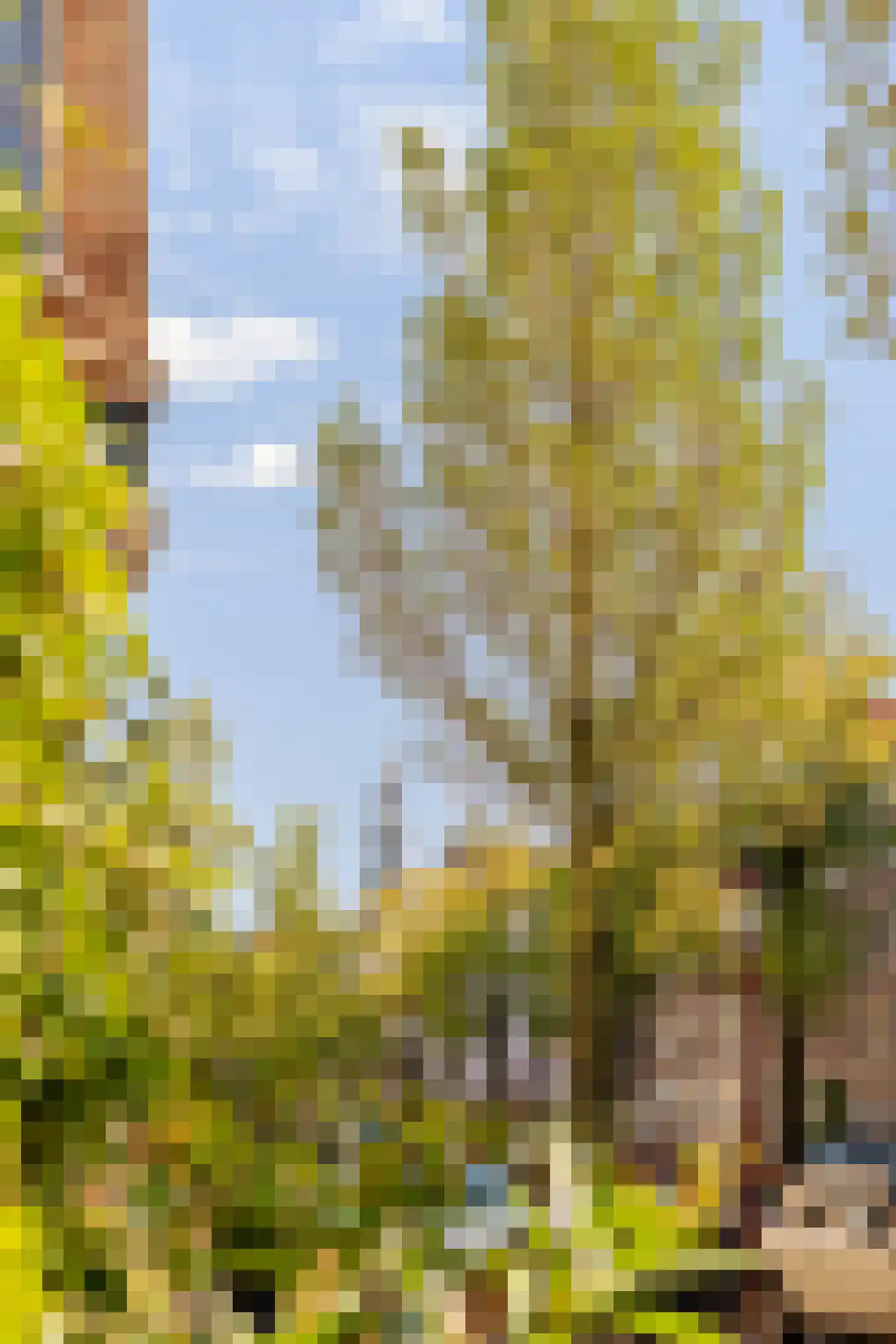 Bloemgracht 300 Amsterdam thumbnail 9