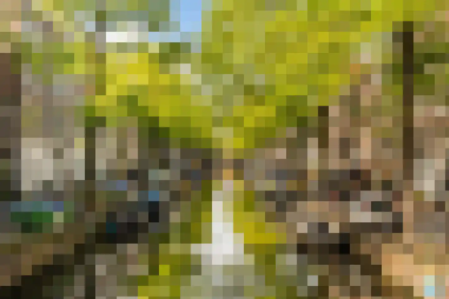 Bloemgracht 41 B Amsterdam thumbnail 21