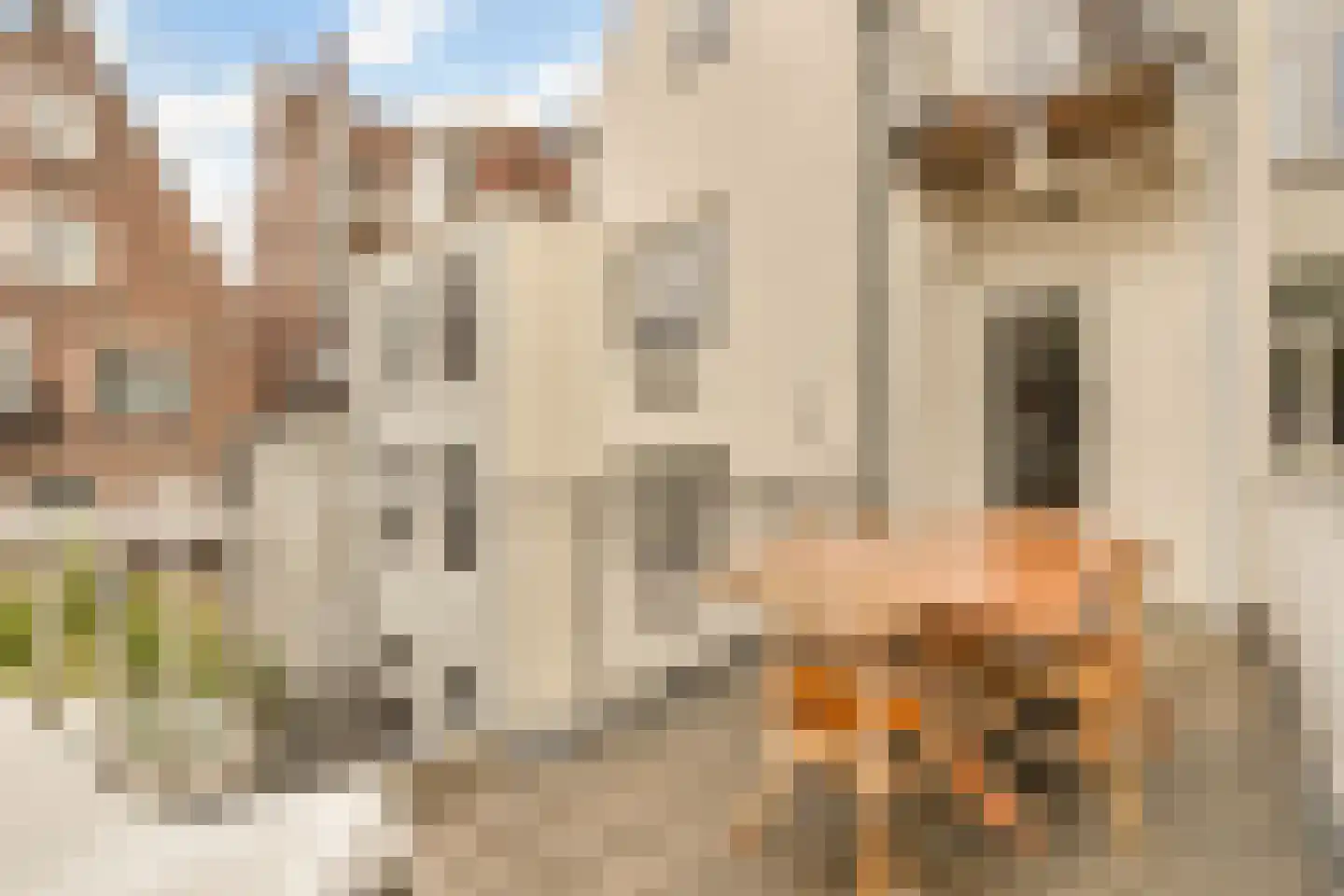 Bloemgracht 41 E Amsterdam thumbnail 16