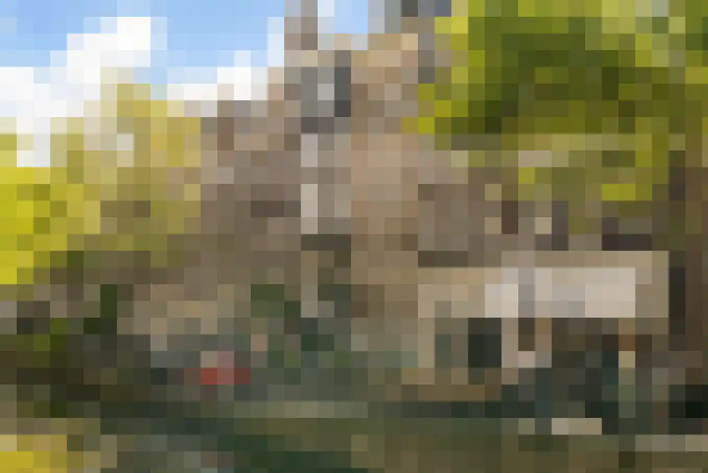 Bloemgracht 41 E Amsterdam thumbnail 22