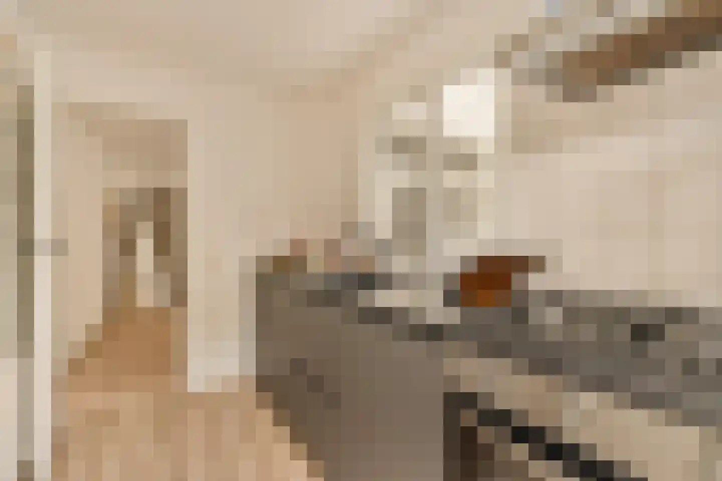 Bloemgracht 41 E Amsterdam thumbnail 8
