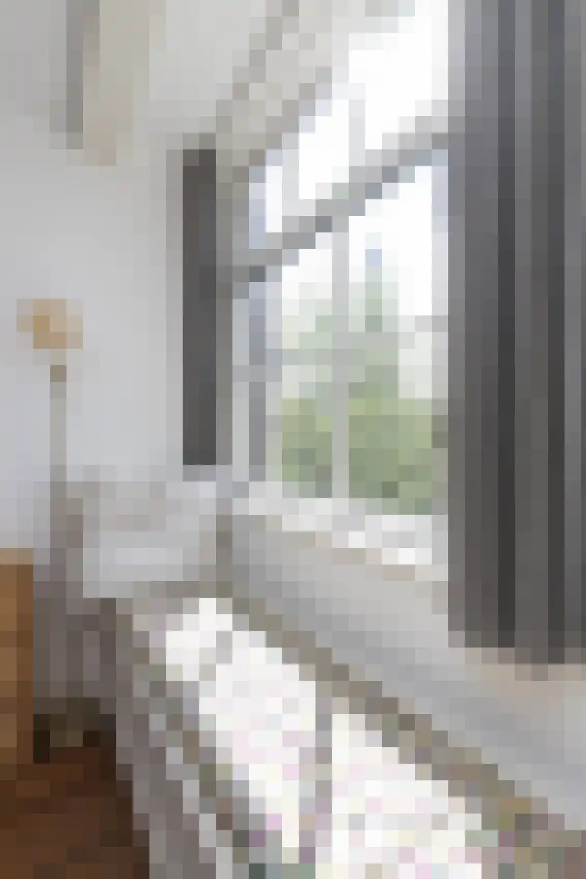 Bloemgracht 64 Amsterdam thumbnail 5
