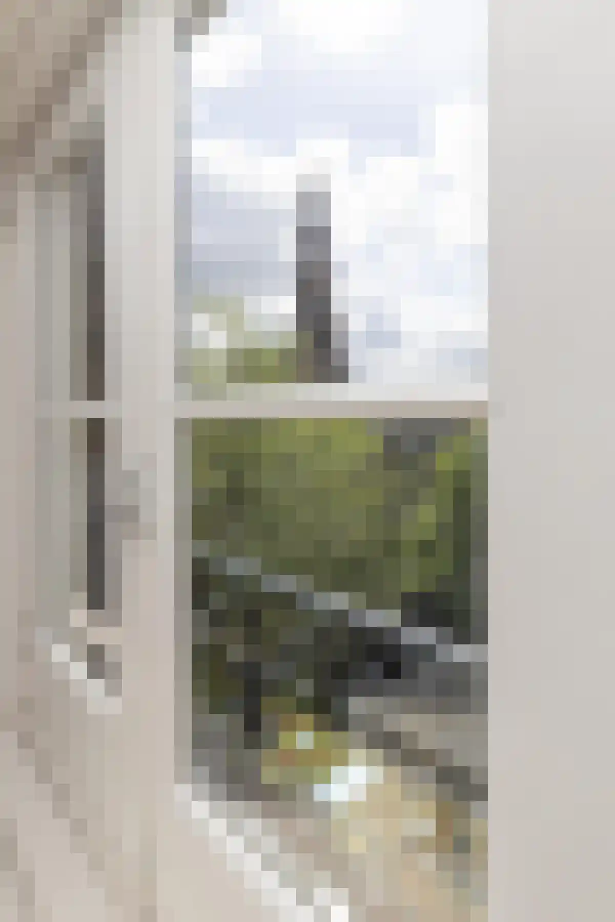 Bloemgracht 64 Amsterdam thumbnail 6