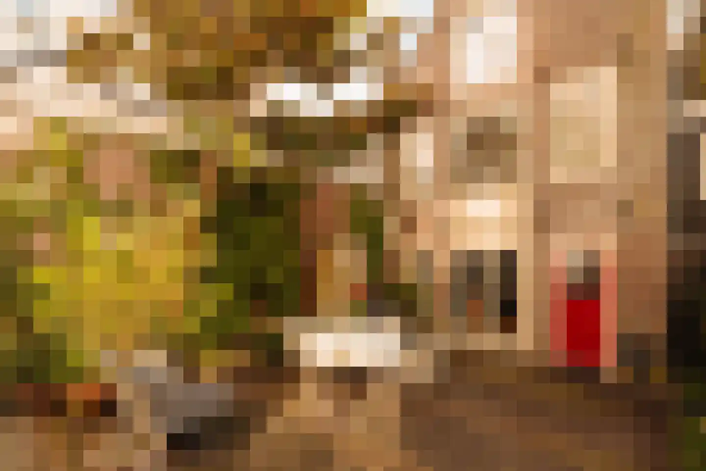 Bloemgracht 67 Amsterdam thumbnail 19