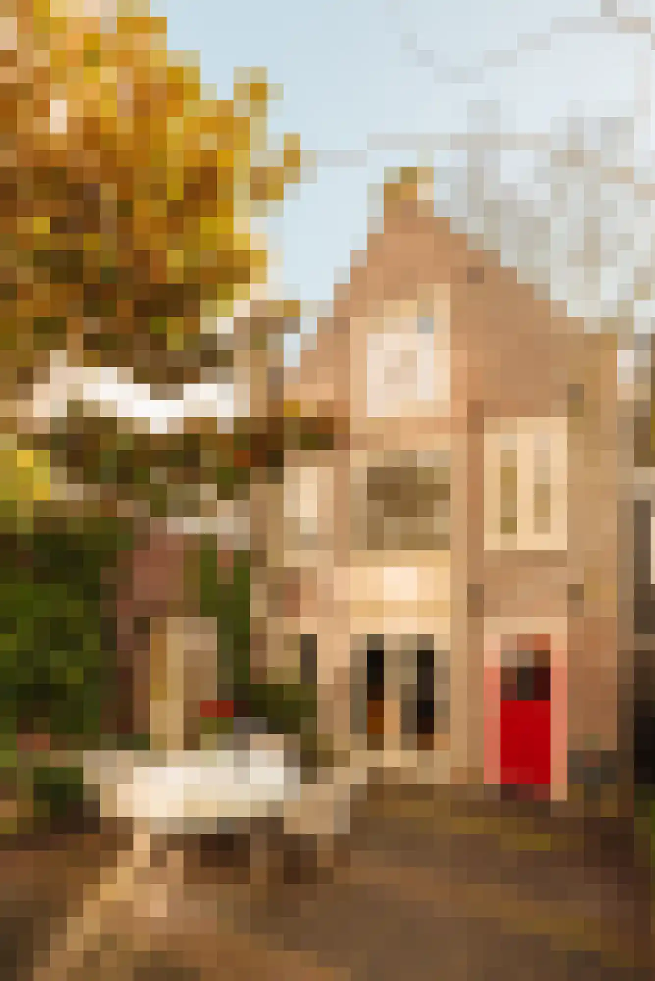 Bloemgracht 67 Amsterdam thumbnail 36