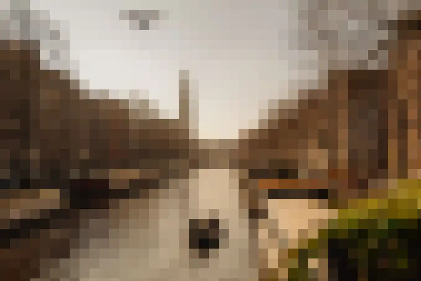 Bloemgracht 67 Amsterdam thumbnail 48