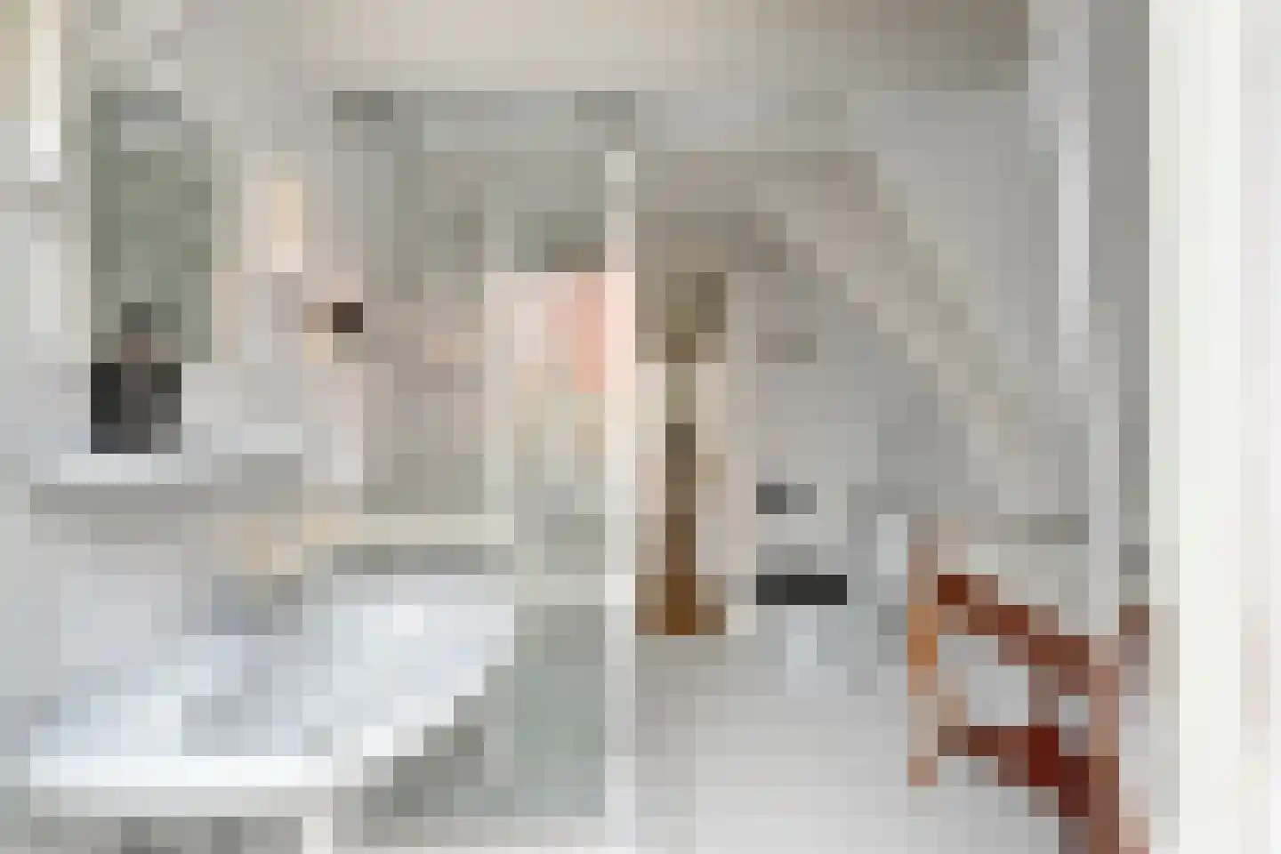 Bloemgracht 8 H Amsterdam thumbnail 31
