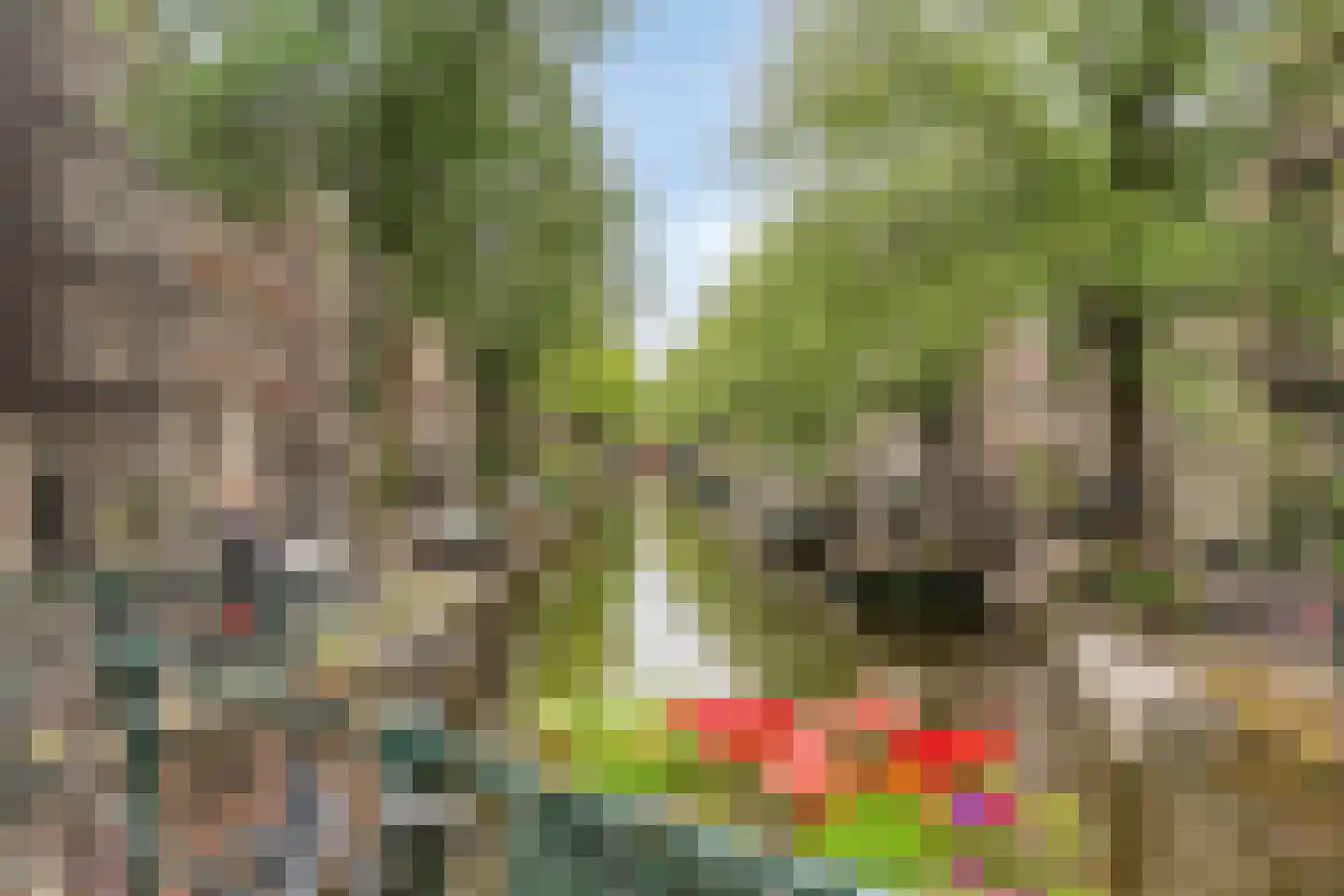 Bloemgracht 8 H Amsterdam thumbnail 37