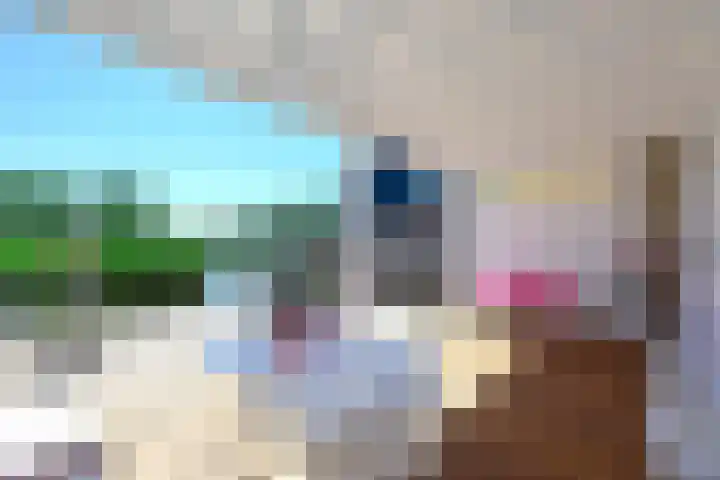 Bloemhaven 14 Vinkeveen thumbnail 18