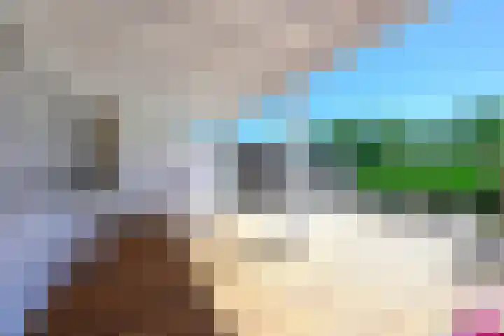 Bloemhaven 14 Vinkeveen thumbnail 19