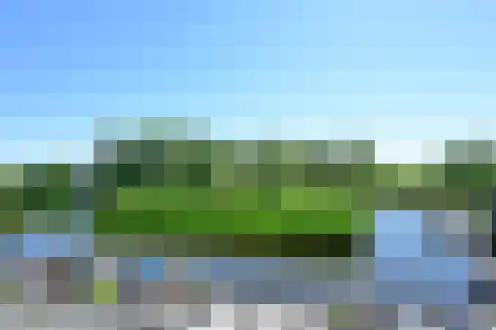 Bloemhaven 14 Vinkeveen thumbnail 24