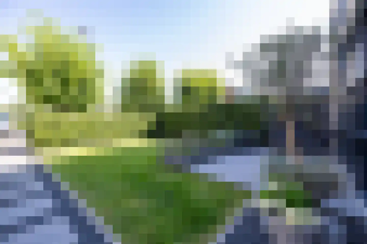 Bloemhaven 20 Vinkeveen thumbnail 4