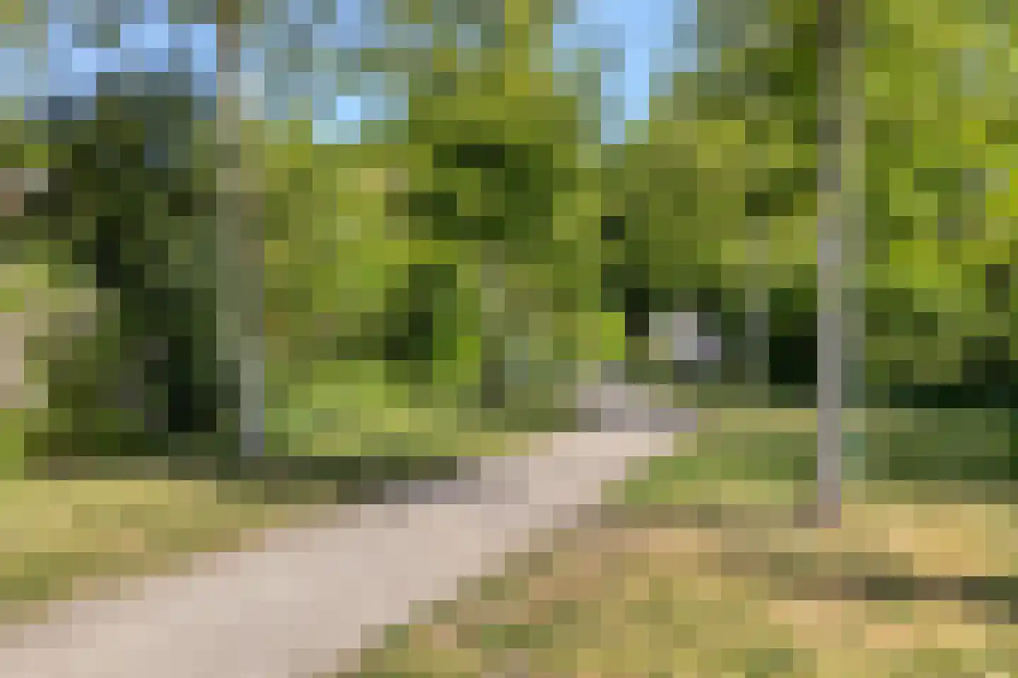Bloemheuvel 13 Soesterberg thumbnail 36