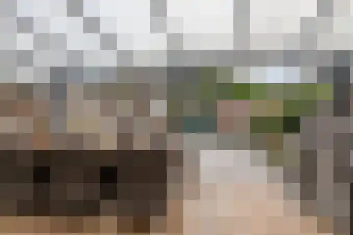 Bloemheuvel 17 Soesterberg thumbnail 28