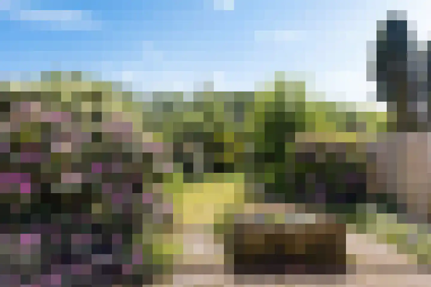 Bloemheuvel 5 Soesterberg thumbnail 40