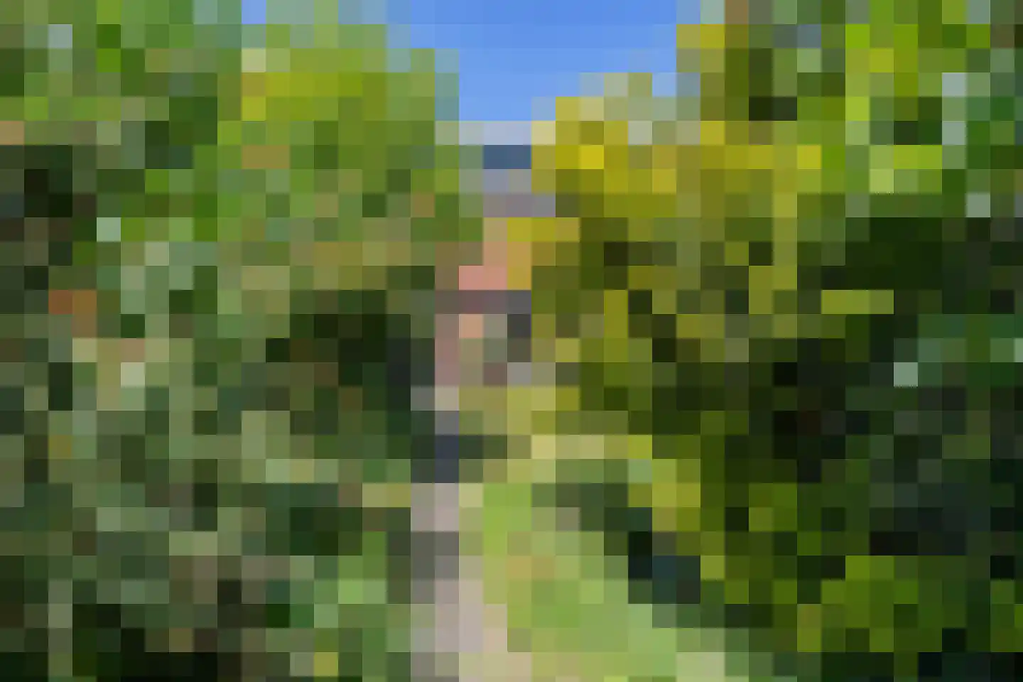 Bloemheuvel 5 Soesterberg thumbnail 41
