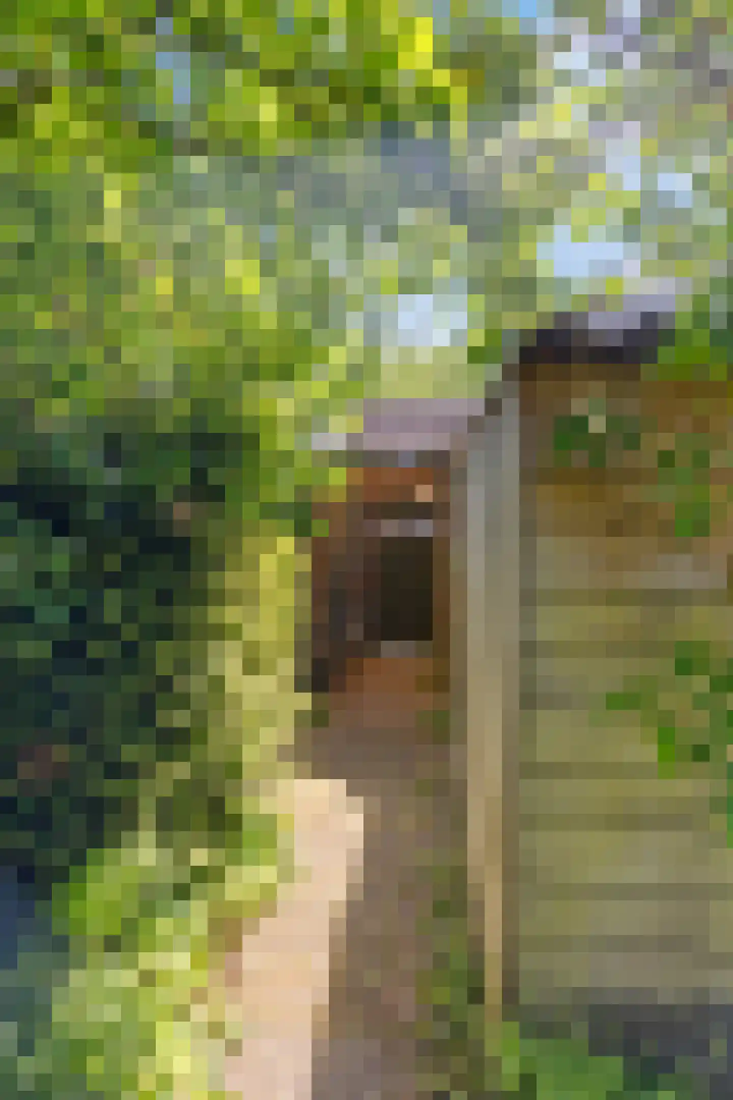 Bloemheuvel 5 Soesterberg thumbnail 43