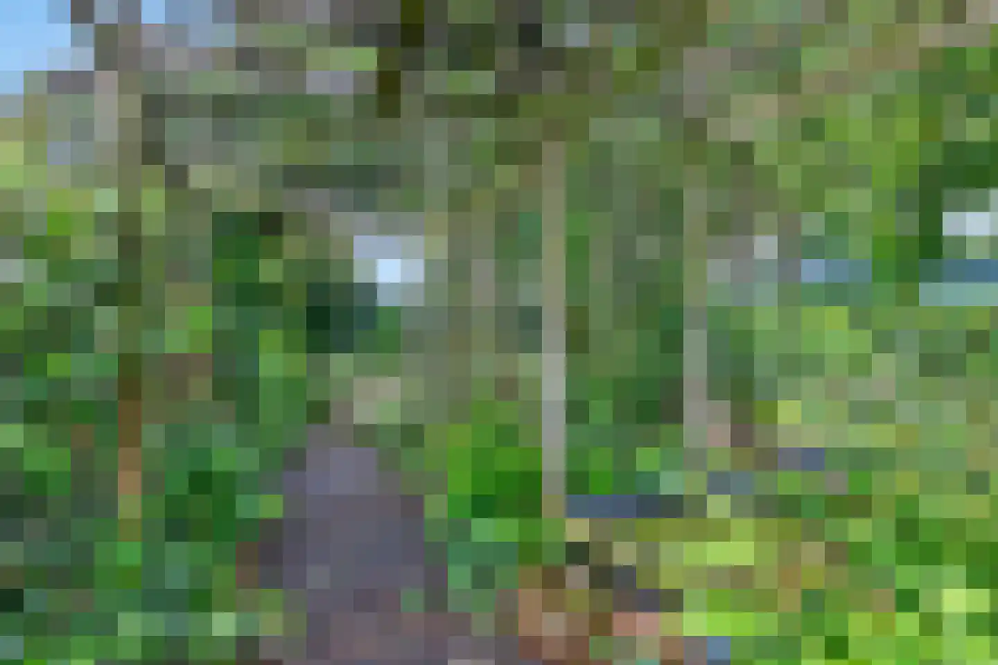 Bloemheuvellaan 14 Apeldoorn thumbnail 31