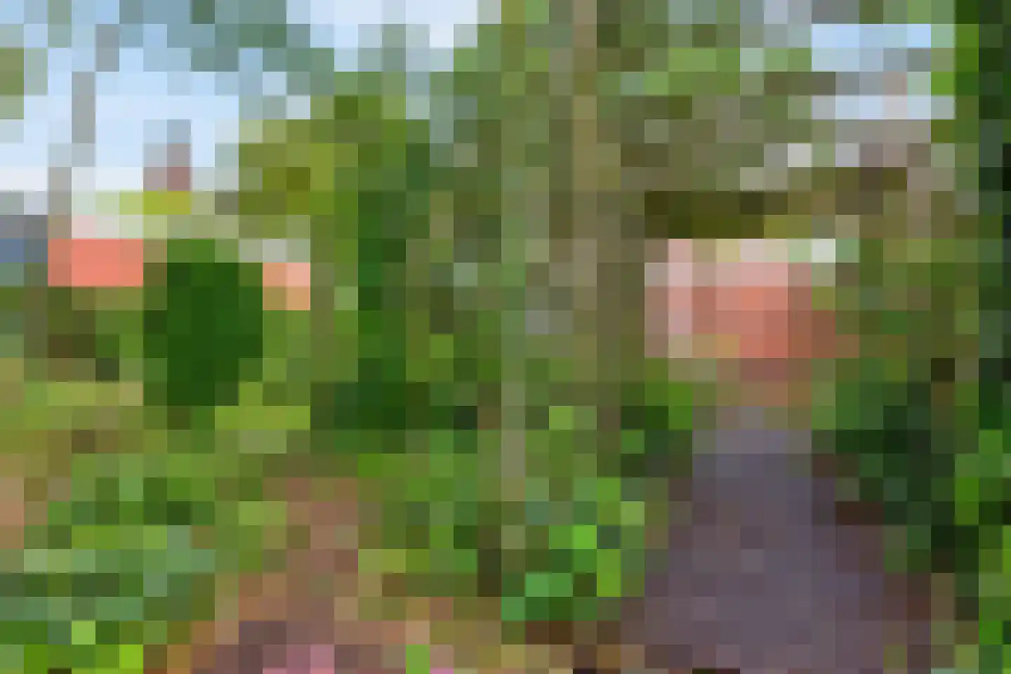 Bloemheuvellaan 14 Apeldoorn thumbnail 32