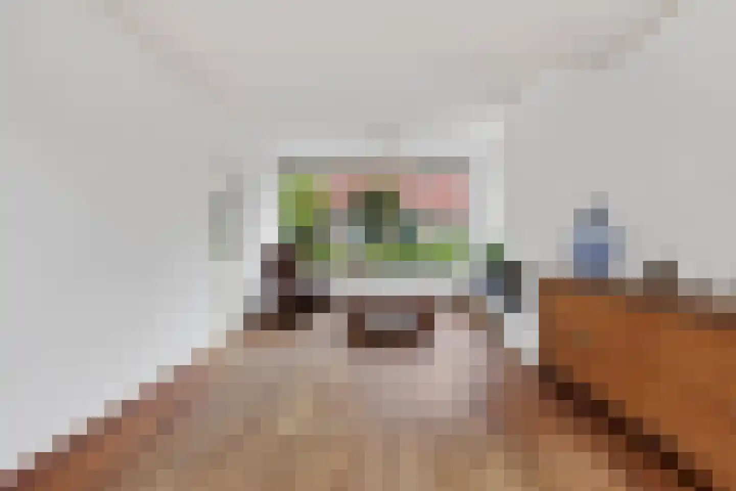 Bloemheuvellaan 14 Apeldoorn thumbnail 6