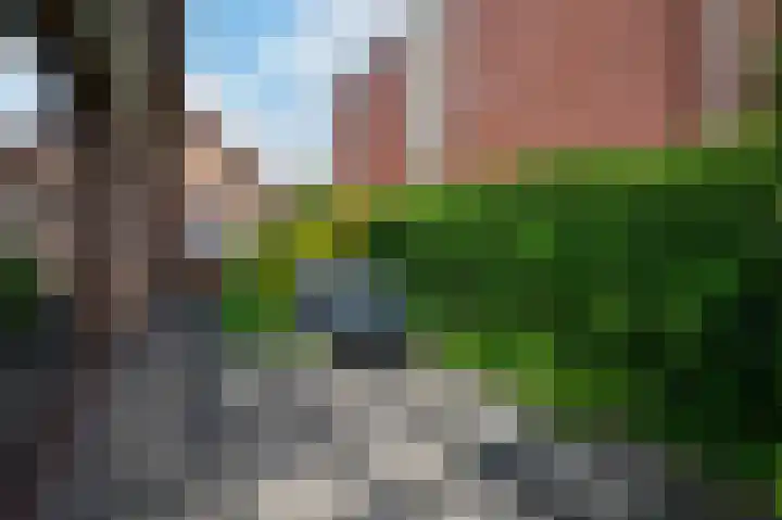 Bloemheuvellaan 17 Apeldoorn thumbnail 29