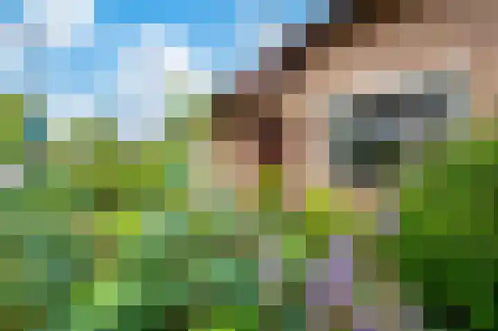 Bloemheuvellaan 17 Apeldoorn thumbnail 31