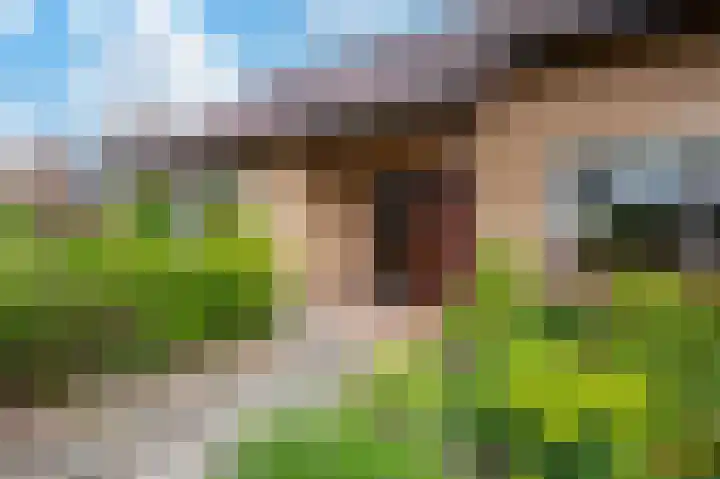 Bloemheuvellaan 17 Apeldoorn thumbnail 32