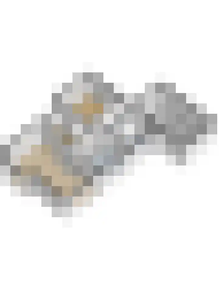 Bloemheuvellaan 17 Apeldoorn thumbnail 36