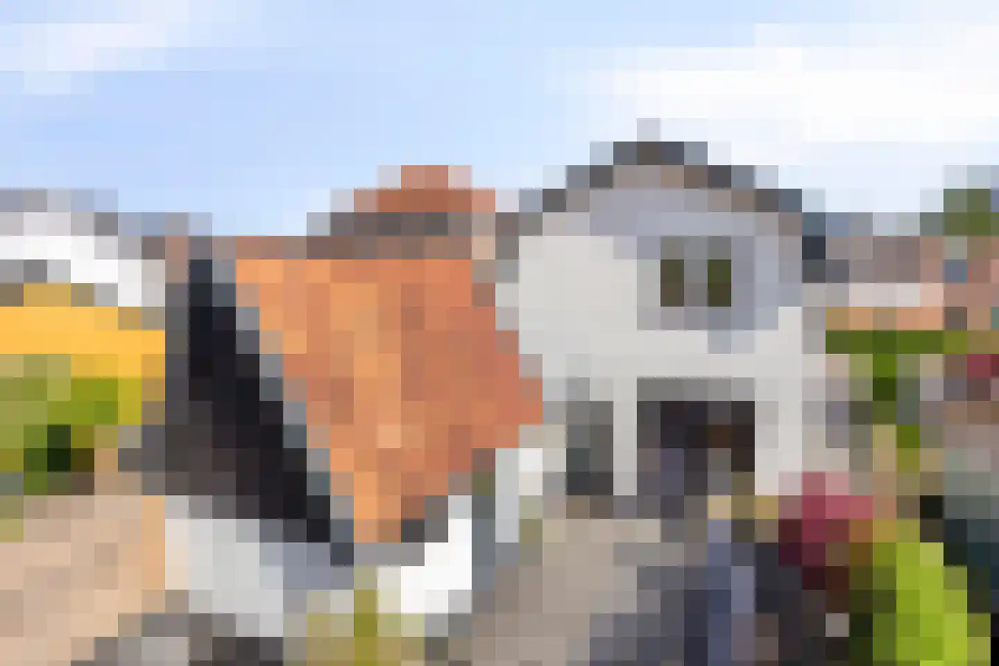 Bloemheuvellaan 51 Apeldoorn thumbnail 38