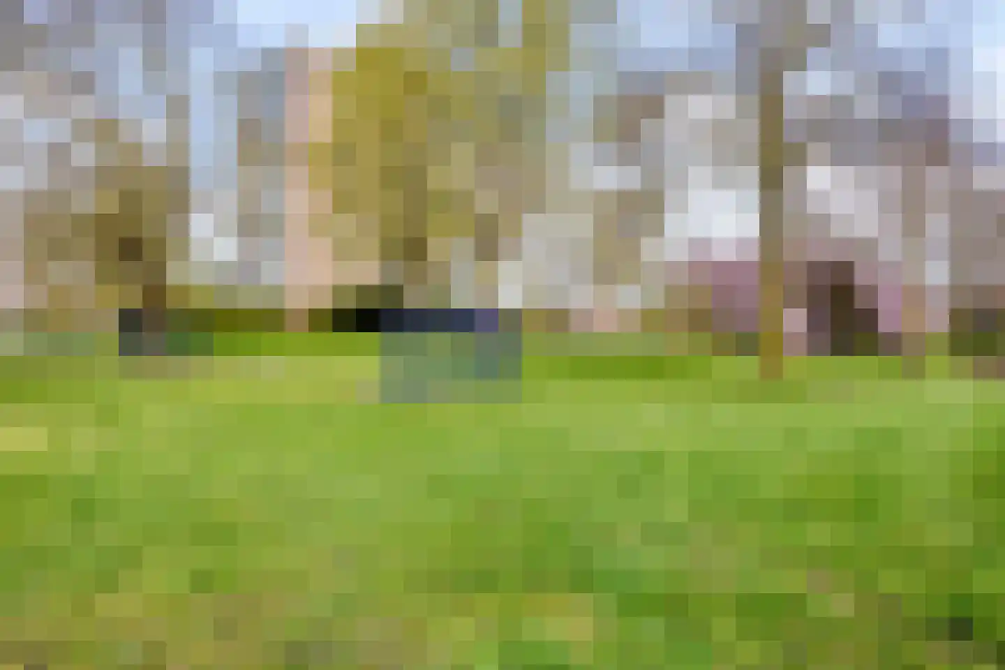 Bloemheuvellaan 51 Apeldoorn thumbnail 44