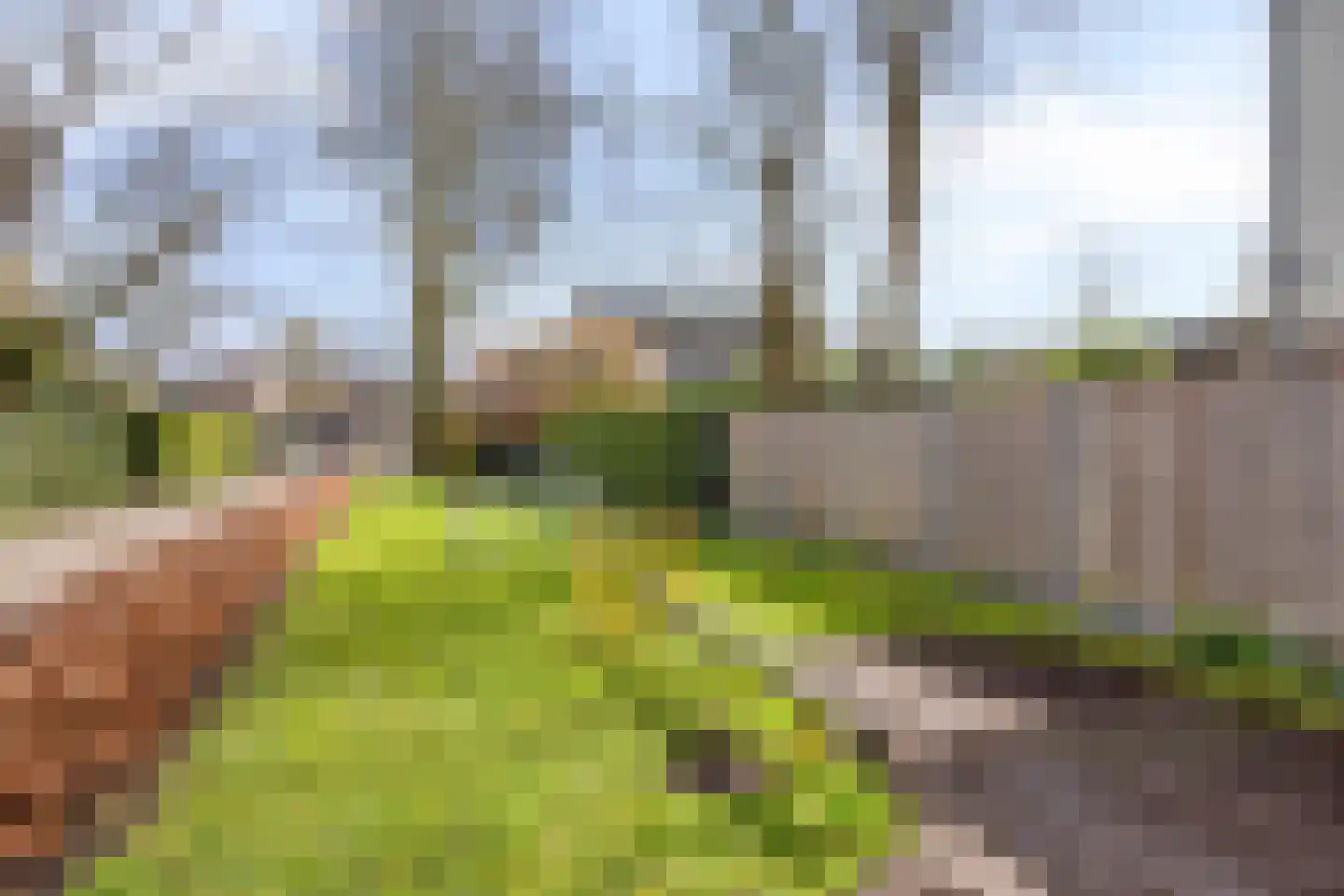 Bloemheuvellaan 51 Apeldoorn thumbnail 45