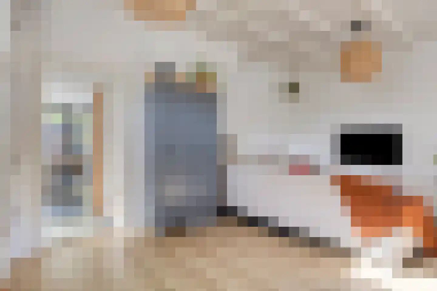 Bloemheuvellaan 51 Apeldoorn thumbnail 6