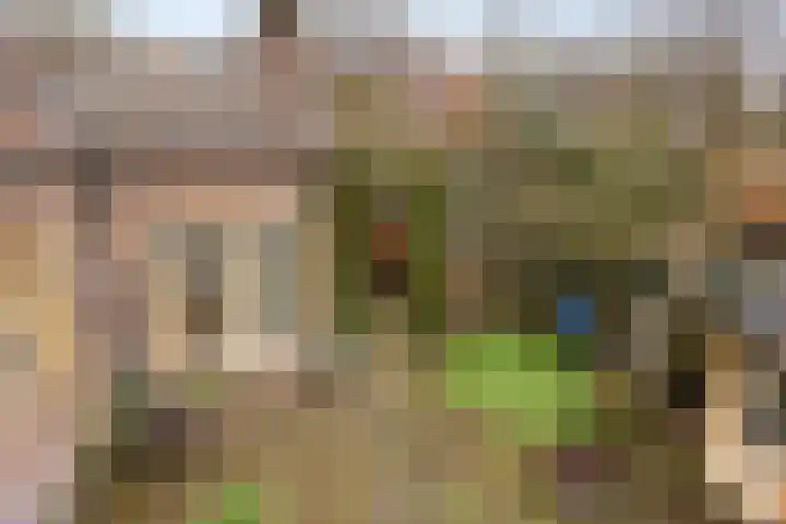 Bloemhoefstraat 10 Nuenen thumbnail 45