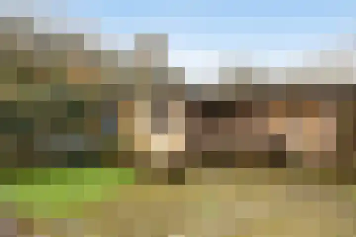 Bloemhoefstraat 10 Nuenen thumbnail 46