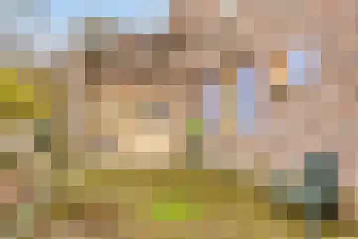 Bloemhoefstraat 10 Nuenen thumbnail 50