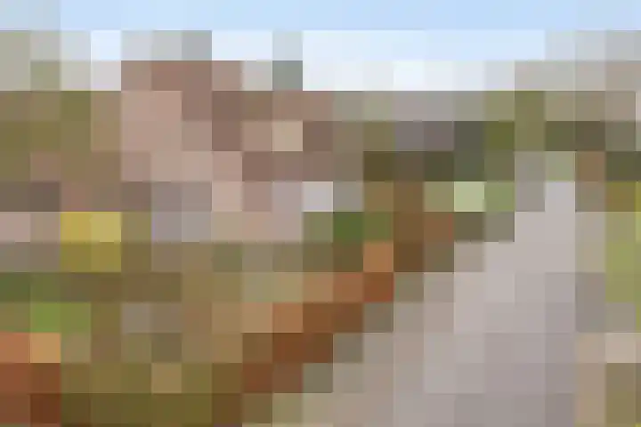 Bloemhoefstraat 10 Nuenen thumbnail 55