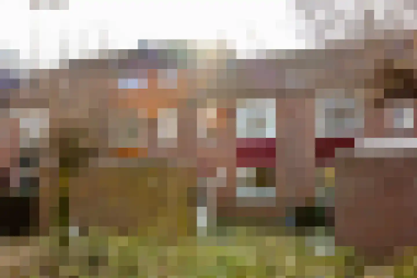 Bloemhof 12 Ede