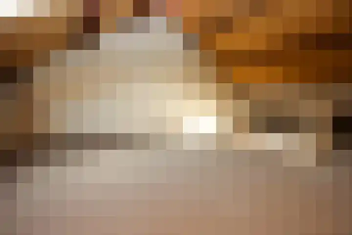 Bloemhof 12 Ede thumbnail 17