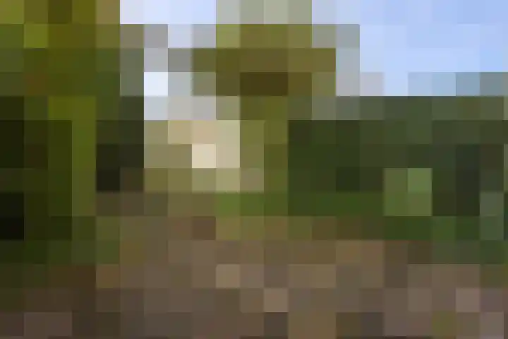 Bloemhof 12 Ede thumbnail 20