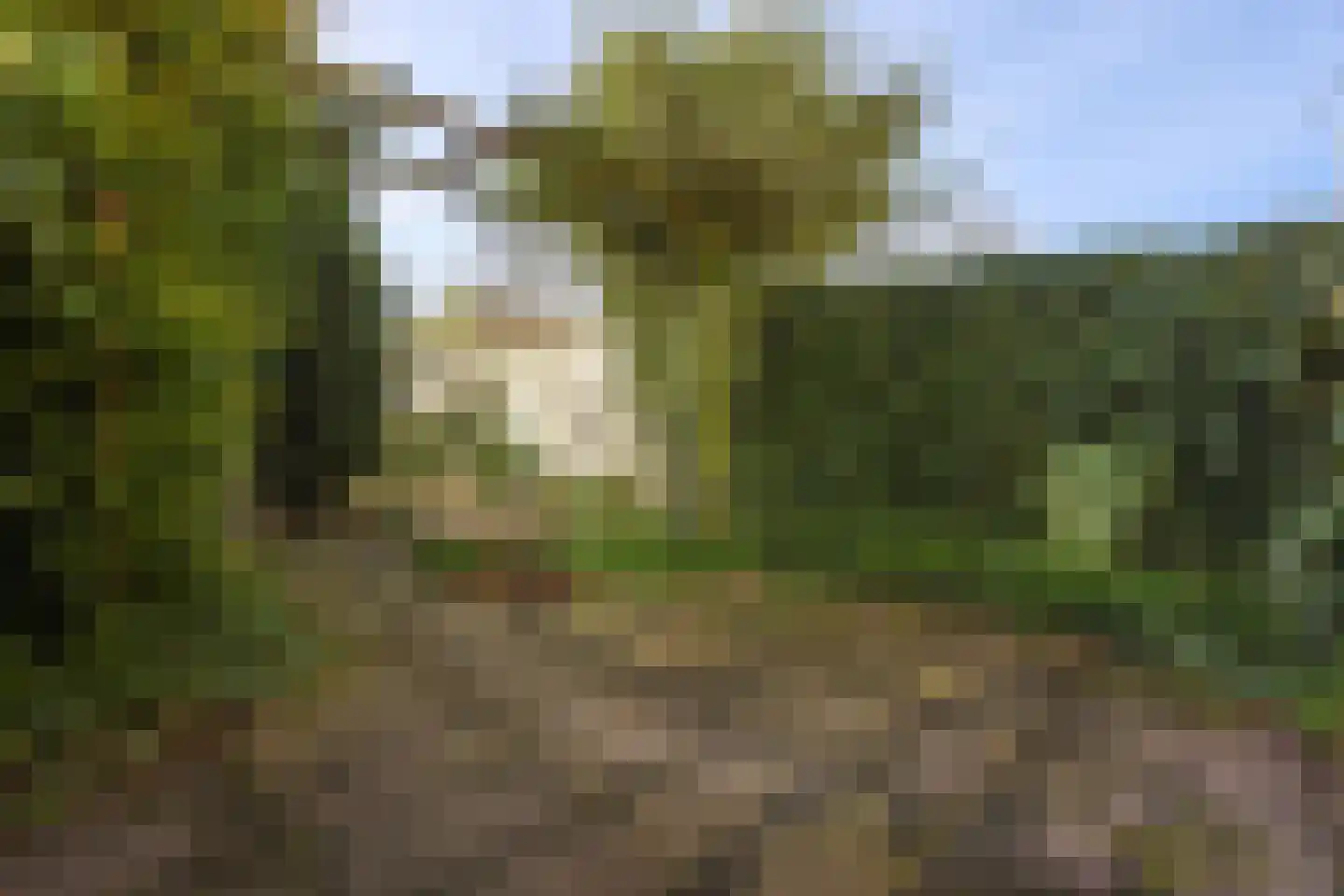 Bloemhof 12 Ede thumbnail 20