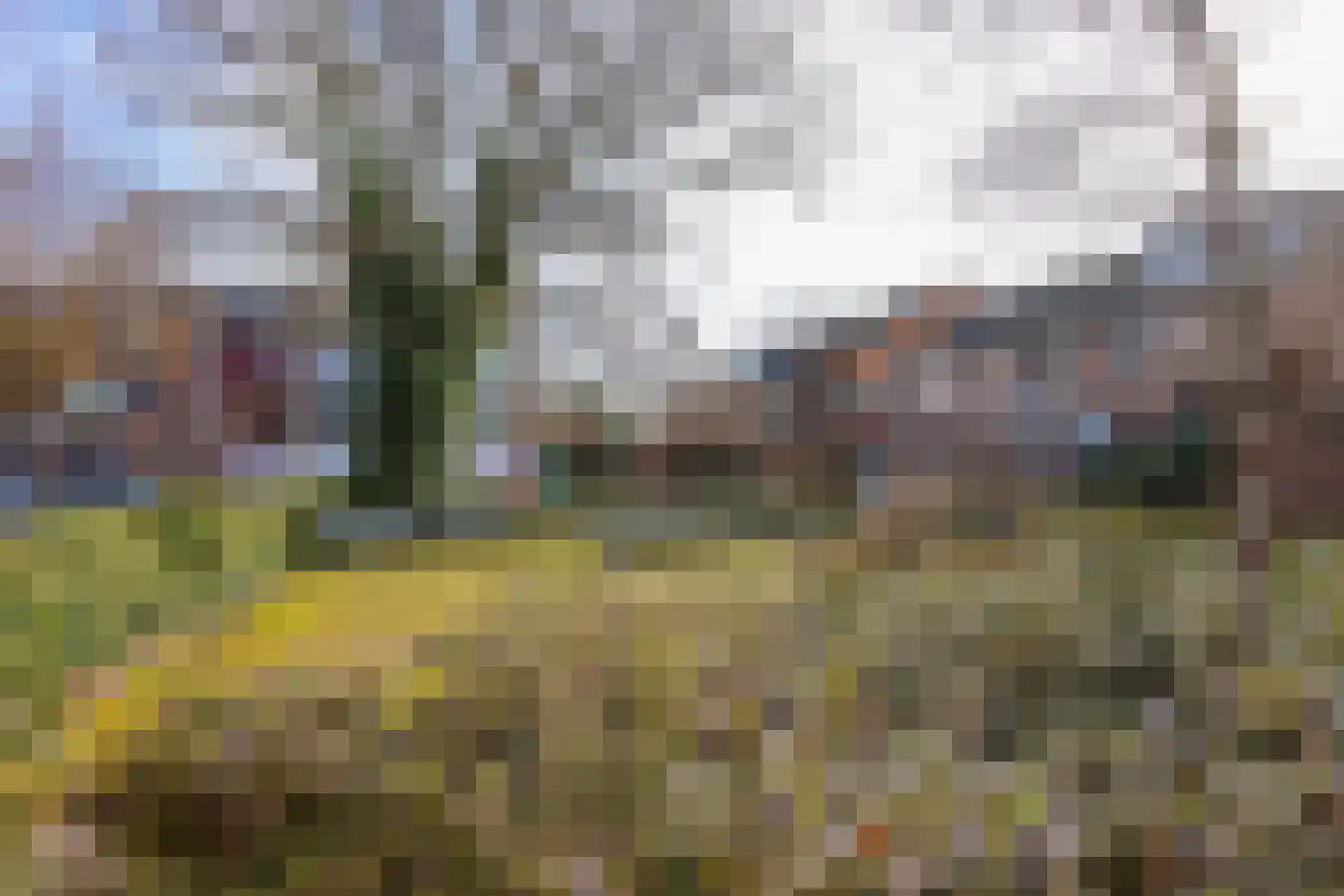 Bloemhof 12 Ede thumbnail 22