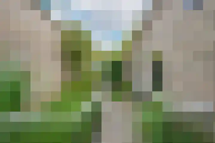 Bloemhof 15 Maassluis thumbnail 4
