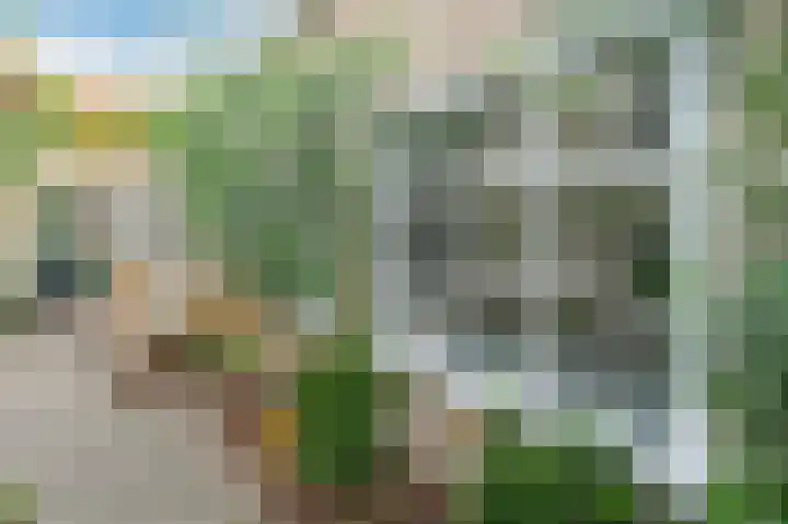 Bloemhof 15 Maassluis thumbnail 8