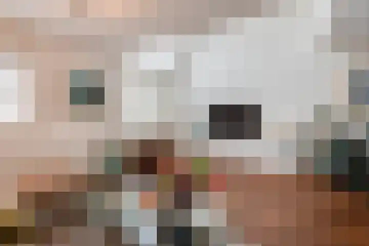 Bloemhof 157 Bussum thumbnail 21